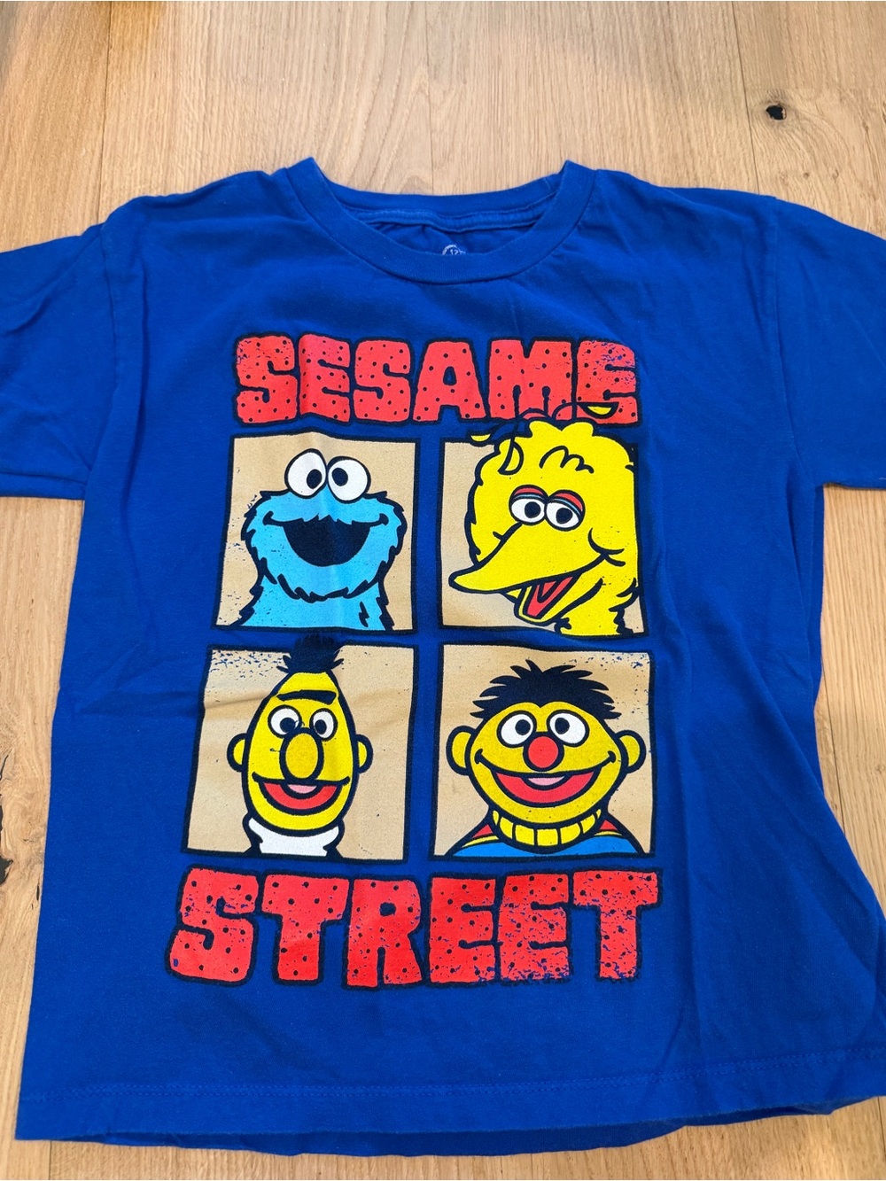 Sesame Street Boys Character T-Shirt Size 7 Halloween Costume